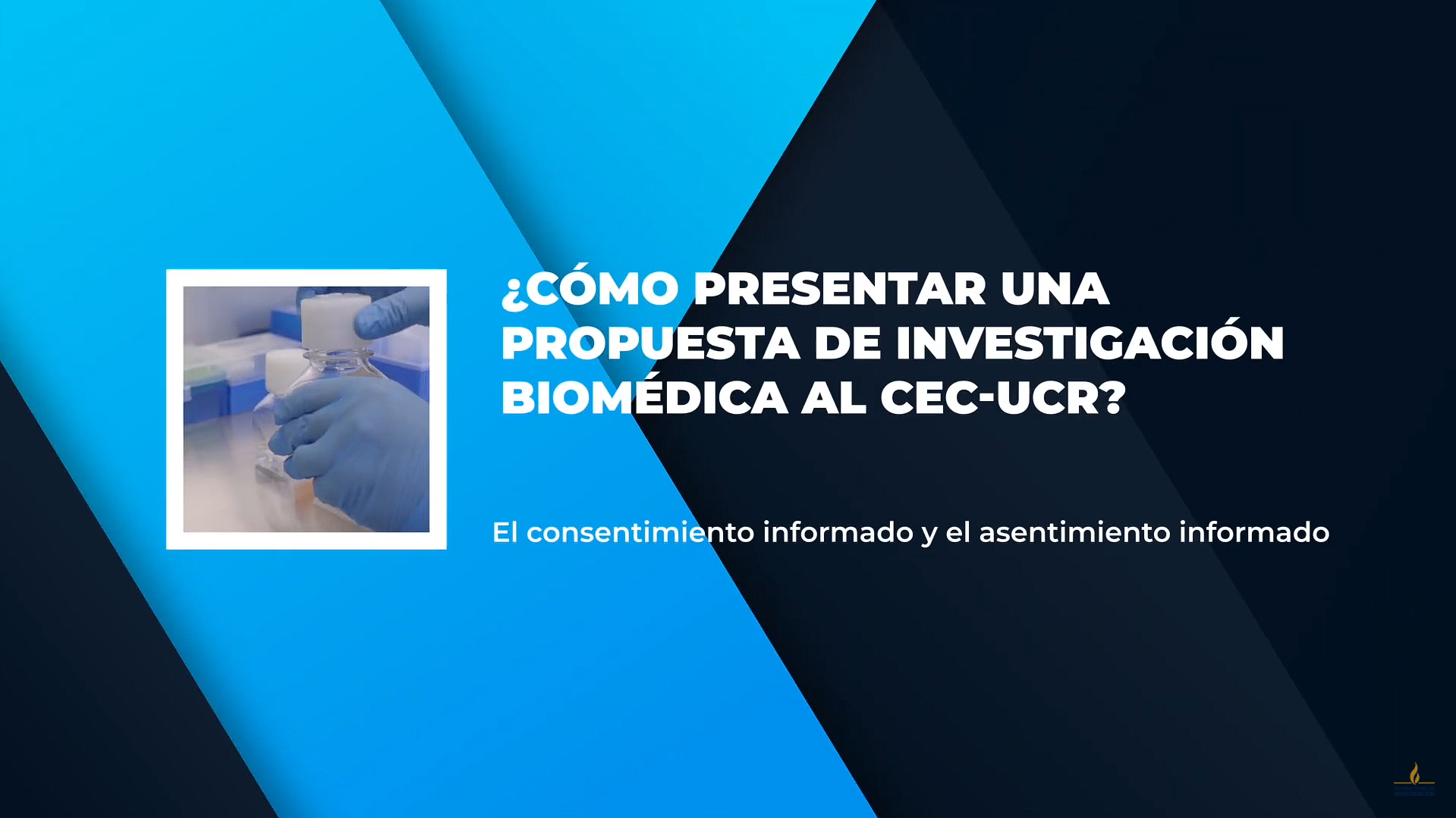 Descripción 1